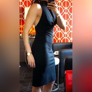Aritzia Babaton black bodycon dress